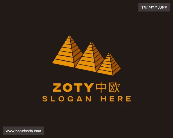 认识zoty中欧